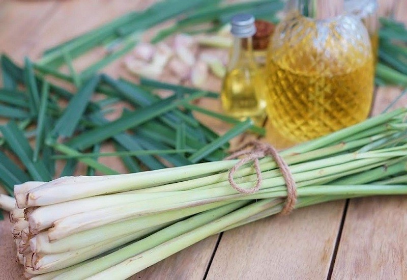 Tinh dầu sả khử mùi nhựa cho nồi chiên không dầu